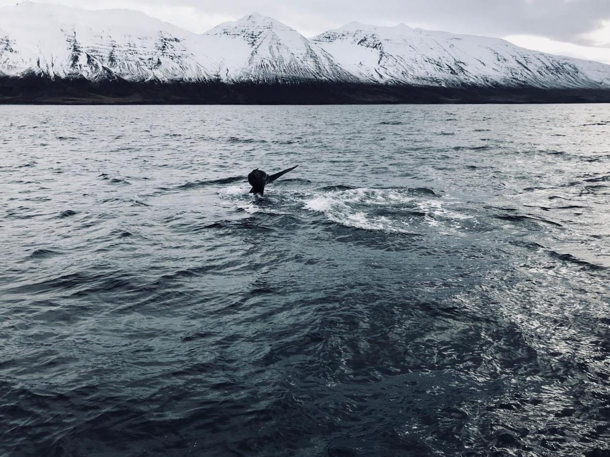 L&L Bnb - Stay'In Arbakki Arskogssandur 外观 照片