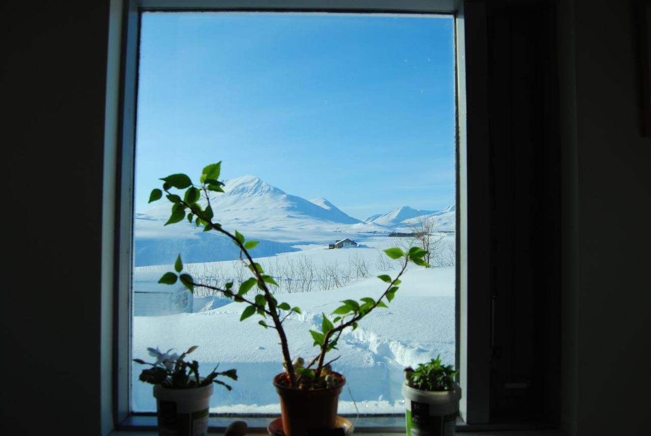 L&L Bnb - Stay'In Arbakki Arskogssandur 外观 照片
